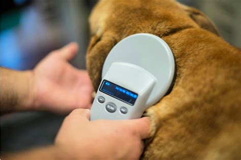 Guide on how to register your microchip .